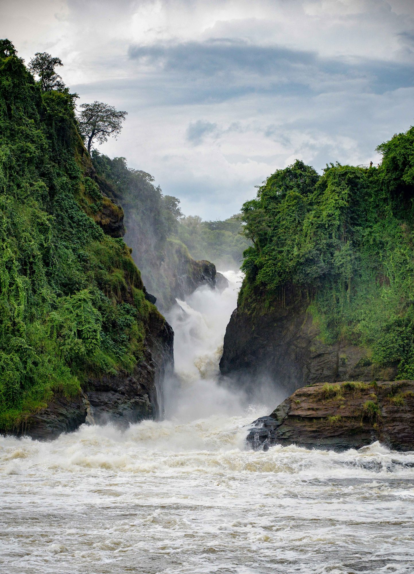 De Nijl perst zich door de kloof bij Murchison Falls