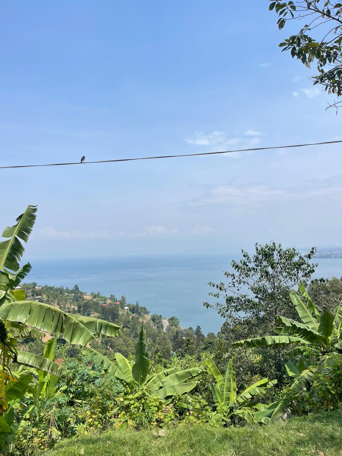 Uitzicht over Lake Kivu vanaf de heuvels, met bananenplanten op de voorgrond