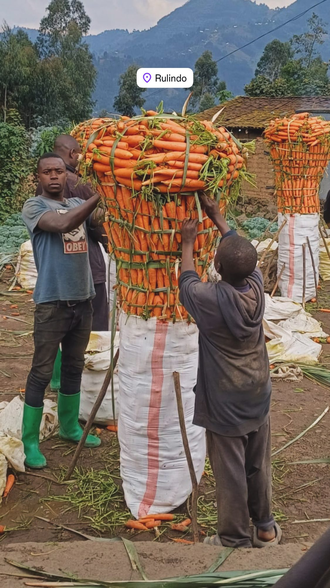 Kleurrijke groentemarkt in Rulindo