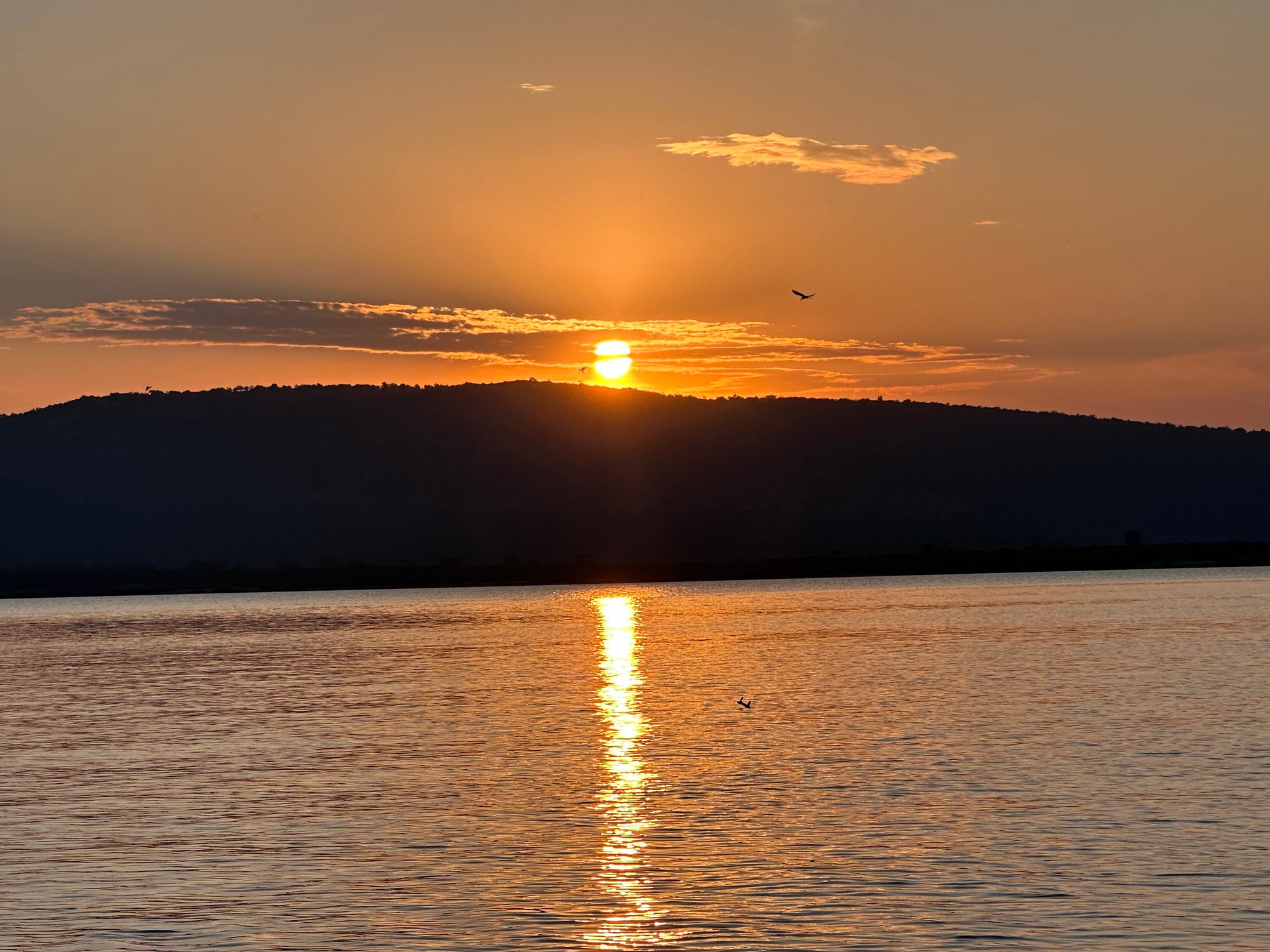 Zonsondergang boven het water in Akagera, met vogels