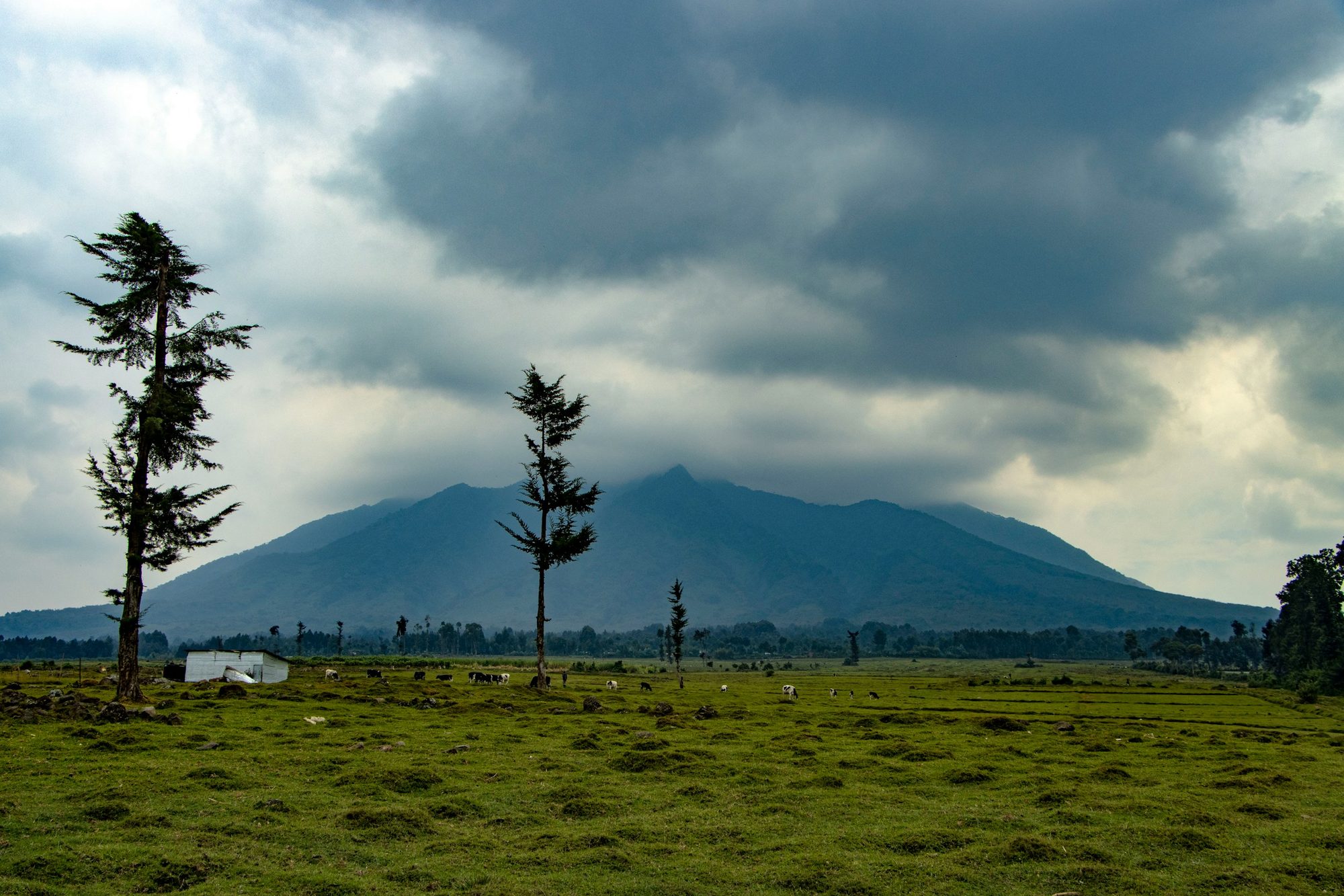 Een vulkaan van het Virungagebergte, de top in de wolken